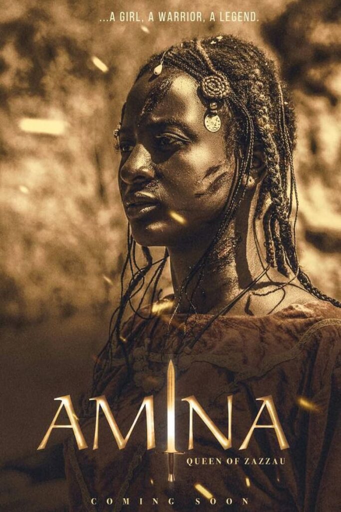 Cartaz de divulgação de Amina.